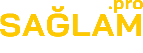 saglam-logo